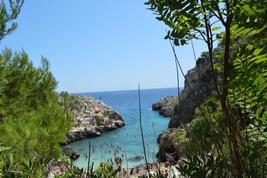 B&B Le Rose Vignacastrisi Exterior foto